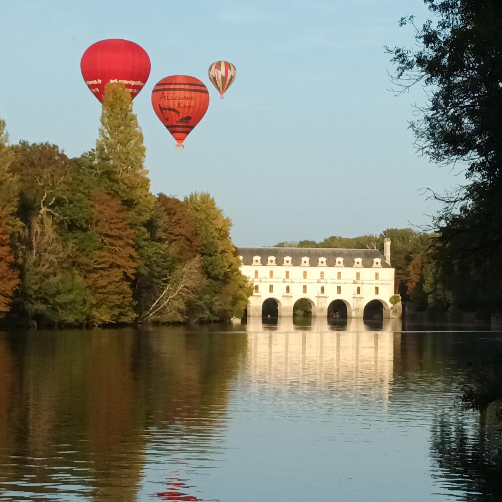 Au Nom Des Dames, Maison Et Table D'Hotes, Pres De Chenonceau Et Du Zoo De Beauval Faverolles-sur-Cher ภายนอก รูปภาพ