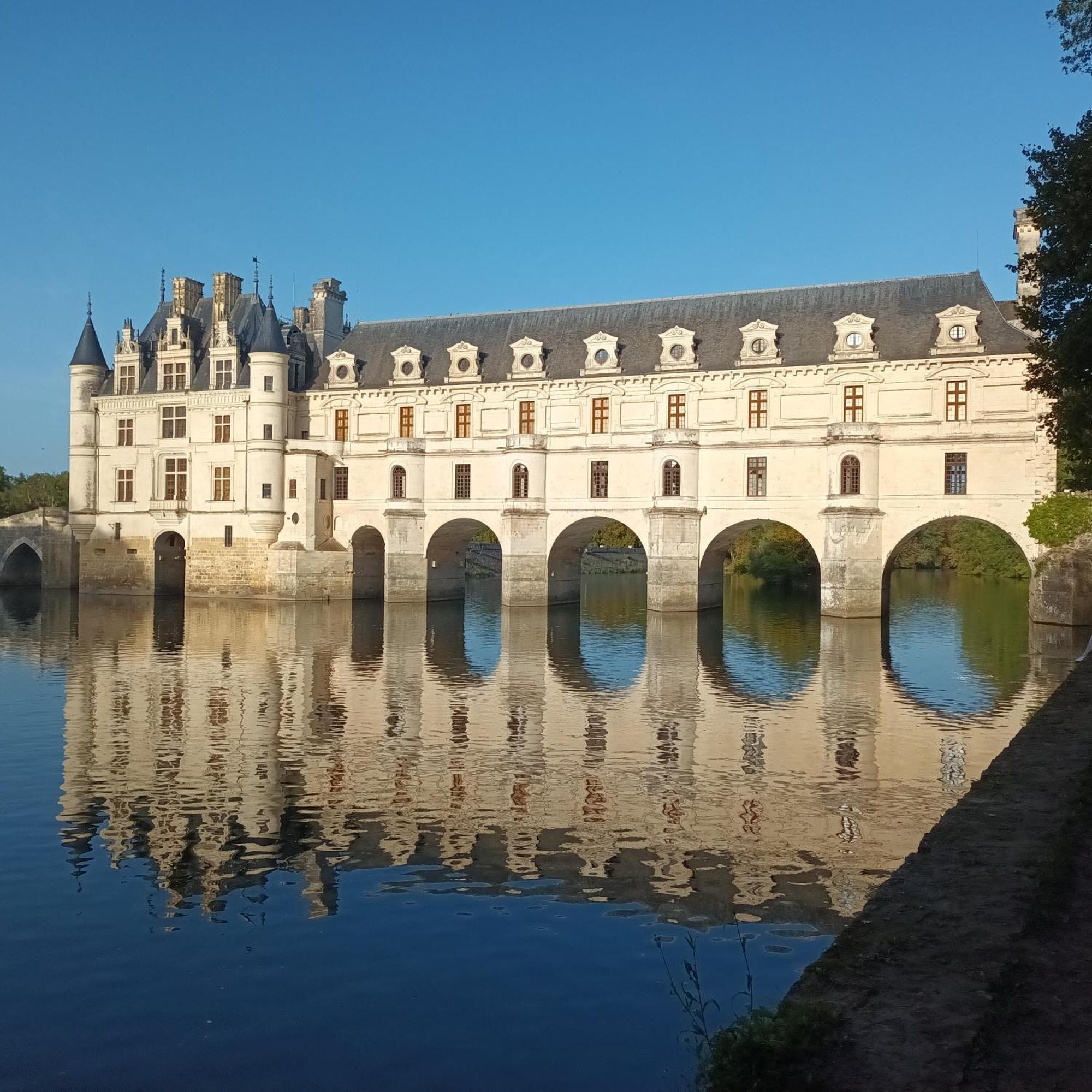 Au Nom Des Dames, Maison Et Table D'Hotes, Pres De Chenonceau Et Du Zoo De Beauval Faverolles-sur-Cher ภายนอก รูปภาพ